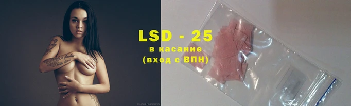 твердый Каменногорск