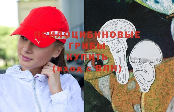 прущий лед Каменск-Шахтинский