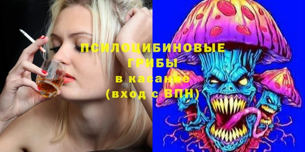 твердый Каменногорск